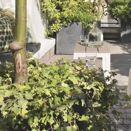 Belle Avec Acces A Terrasse Privat bolig