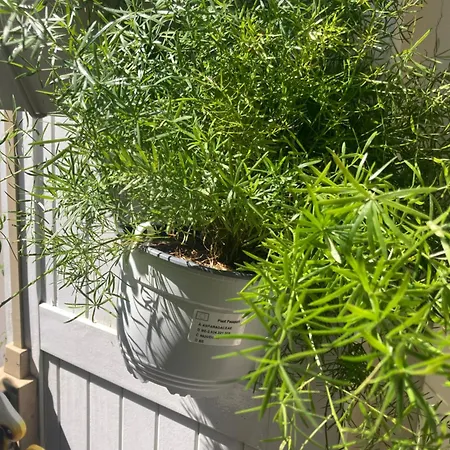 Belle Avec Acces A Terrasse פריז